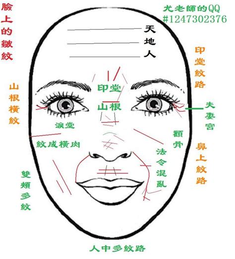 臉部紋路面相